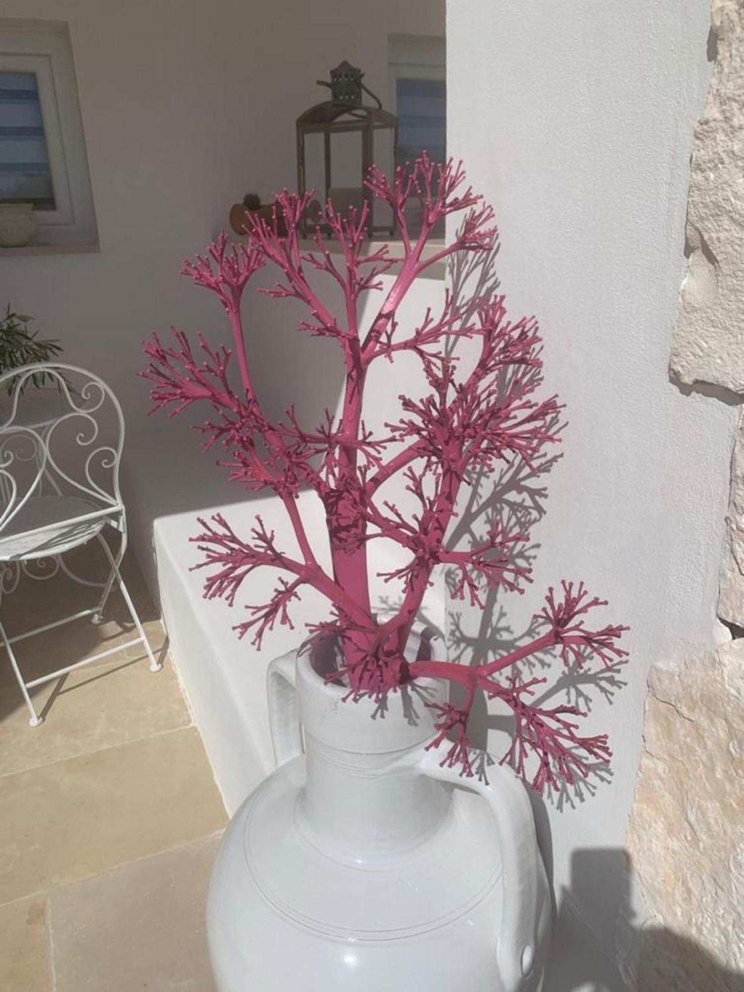 Feudi Mandolivo Bed & Breakfast Ostuni Luaran gambar