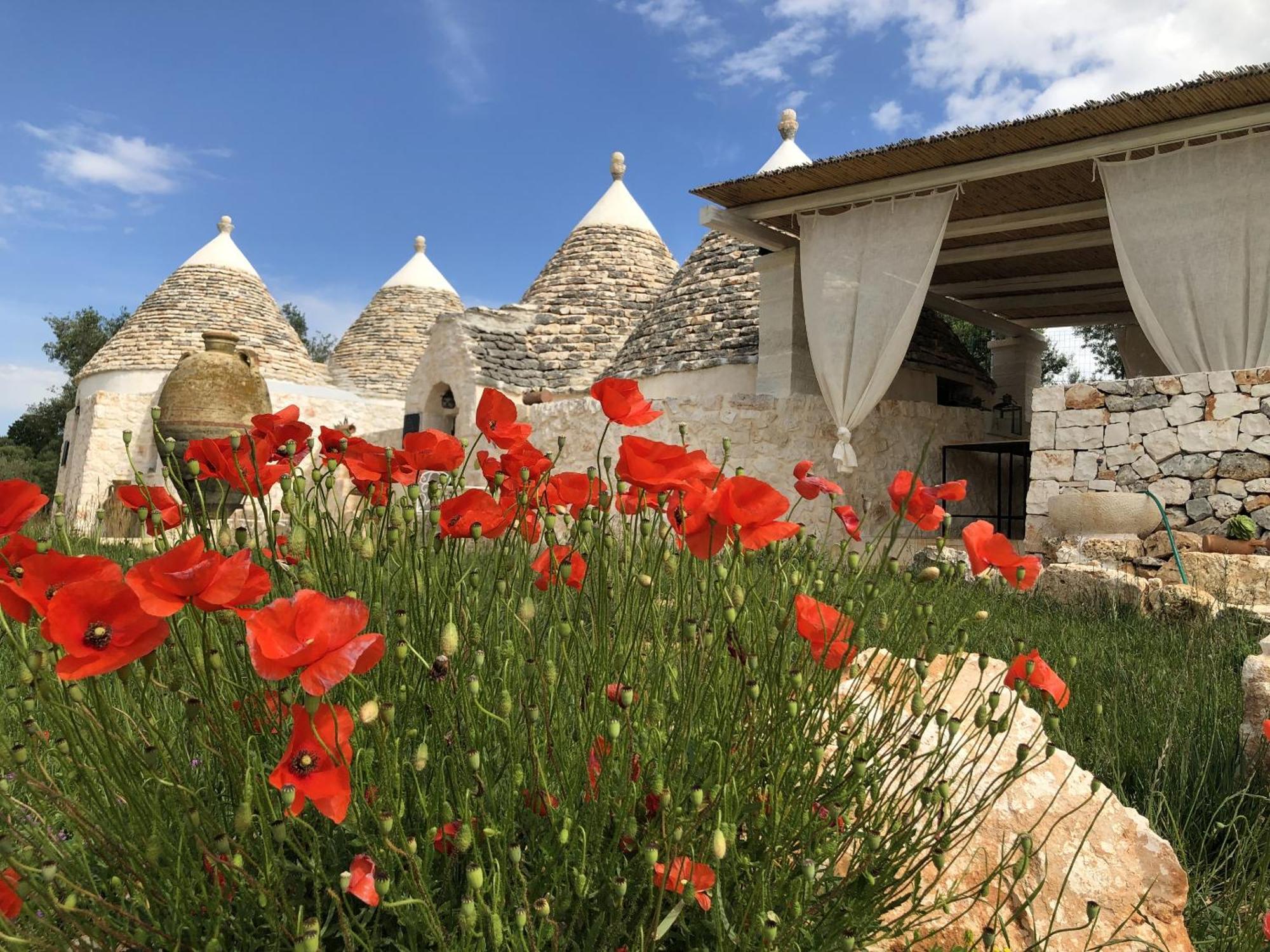 Feudi Mandolivo Bed & Breakfast Ostuni Luaran gambar