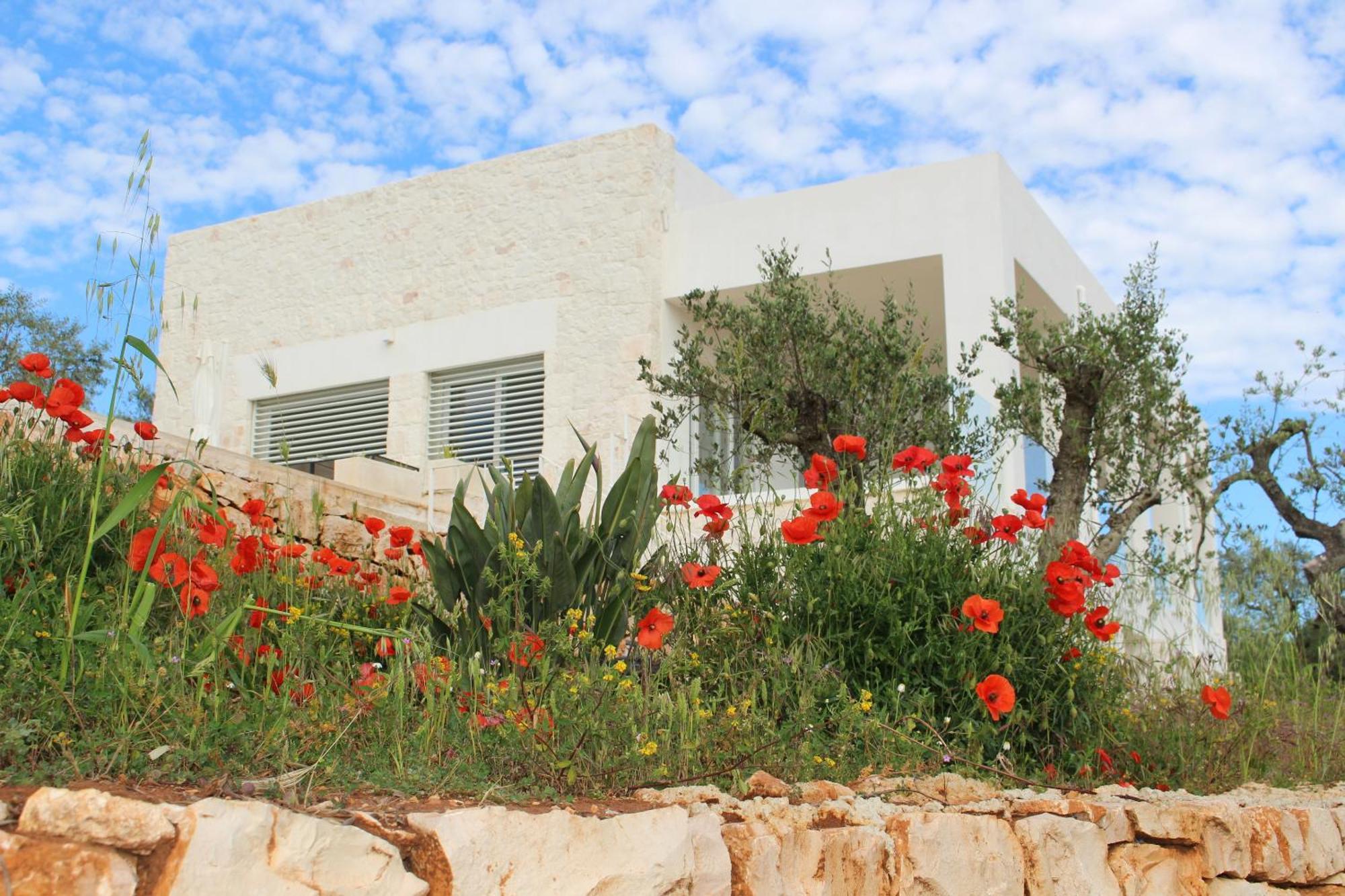 Feudi Mandolivo Bed & Breakfast Ostuni Luaran gambar